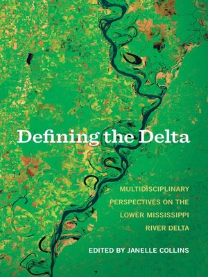 cover image of Defining the Delta